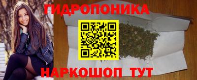 ПСИЛОЦИБИНОВЫЕ ГРИБЫ Можга