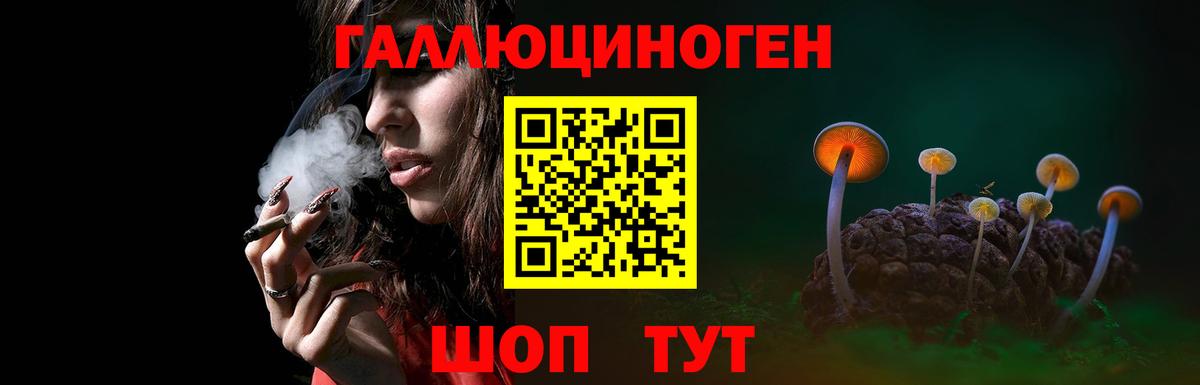 продажа наркотиков  Псилоцибиновые грибы мицелий  Вход с VPN  Чусовой 